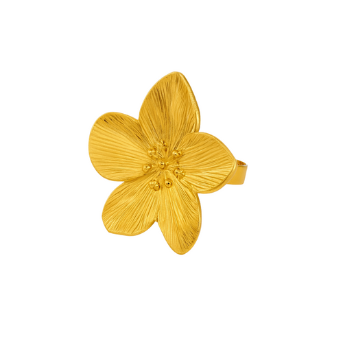 Amapola